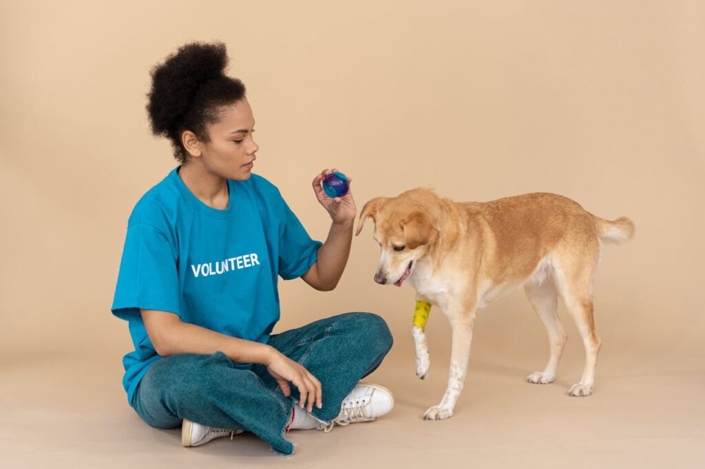 A young woman playing with a rescue dog in a studio setting, highlighting volunteer work and pet adoption.